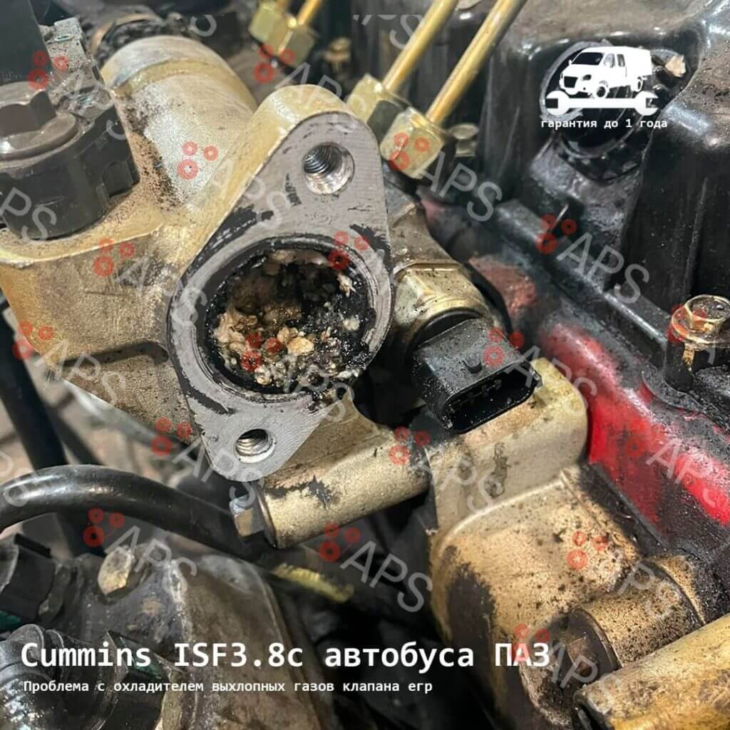 Мотор Cummins ISF3.8 с автобуса ПАЗ (1)